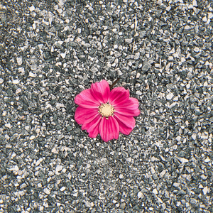 秋天写给四季的情书