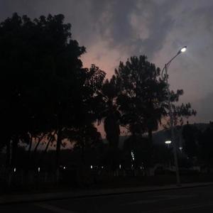 Alice-君子芳freestyle（lilTower remix）