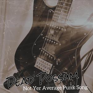 Not Yer Average Punk Song (feat. Da Possum AssMasterz)