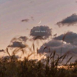 mind note no.1