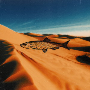 Los peces no vuelan en el desierto