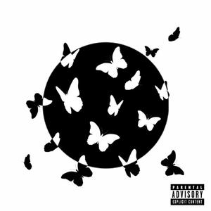 Cyanide Butterfly