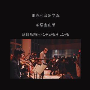 落叶归根+Forever Love