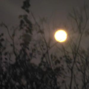 不合时宜
