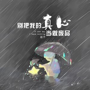 别把我的真心当做废品