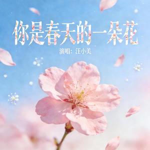 你是春天的一朵花