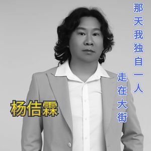 那天我独自一人走在大街 伴奏