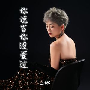 你说当你没爱过 (深情版)