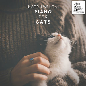 Pawsitively Pianistic