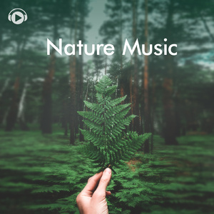 Andes ～夜明け～