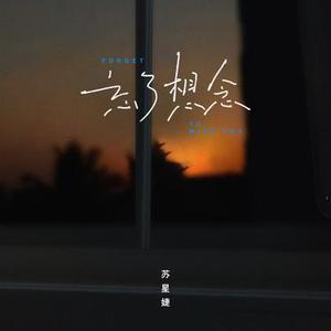 忘了想念 (0.8x)