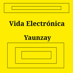 Vida Electrónica