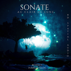 Sonate Au Clair De Lune - Guitar Lead - 8d Spatial