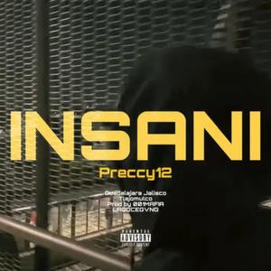 INSANI (feat. PRECCY12)