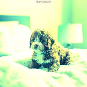 一尘不染大气层印象数