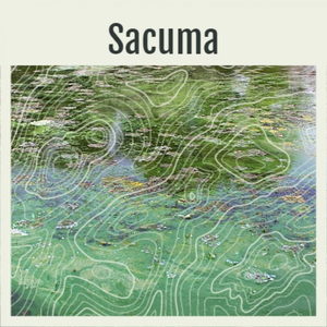Sacuma
