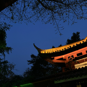 重症病(by  tired)