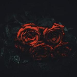 【FREE】 "ROSE" EMO BEAT