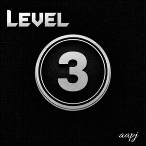 Level 3
