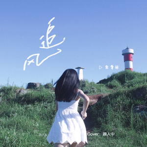 追风（翻自 颜人中）