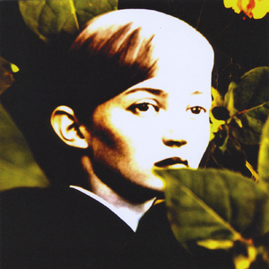 Questi Orizzonti Scomparsi