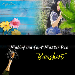 Bumshot (Radio Edit)