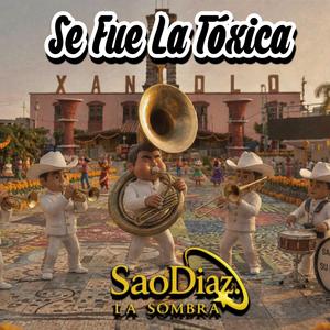 Se Fue La Tóxica