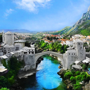 七夕青蛙 (孤寡孤寡版)