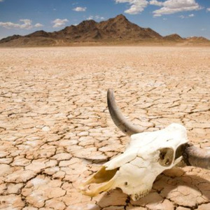 A Mulher Que o Cê Criou