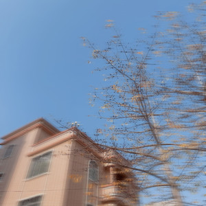 「BEAT」 Lil Tecca × TheHxliday Type Beat-'Script'