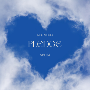 PLEDGE