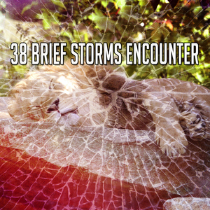 Rain Relief From Grief