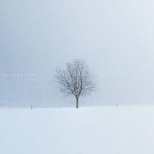 겨울 이야기 (A Winter Story)