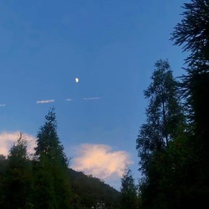 等花开（prod by BECU BEATZ)