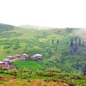 Trip to Guria / მოგზაურობა გურიაში