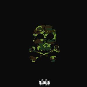 Camouflage (feat. Motta Mohs & Risba)
