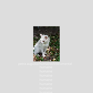Hair Color (Instrumental)