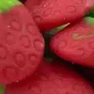 metladaatmaathoshevet