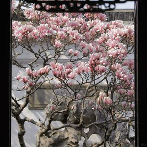 永远温柔，与世无仇