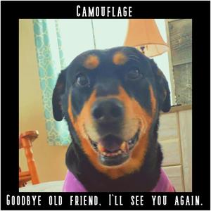 Camouflage (Acoustic Demo Version)