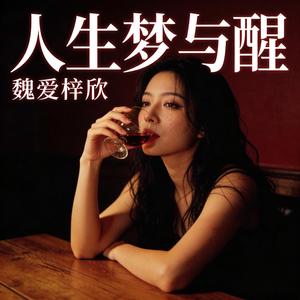 人生梦与醒（人生如梦 梦如人生）