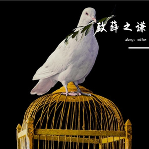 致薛之谦