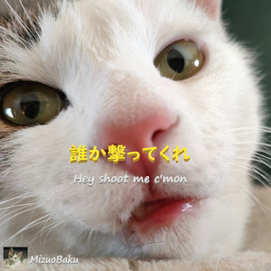 誰か撃ってくれ