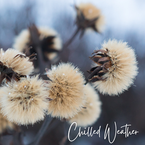 The Keys to Climate Change