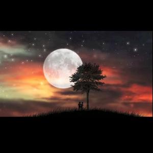 飞燕（翻自 南里沙）