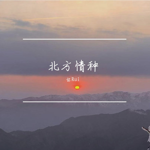 北方情种