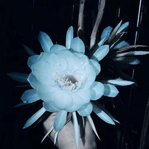 So long.(Prod.JaiJ)