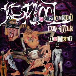 Ühiskondlikult kahjulik element