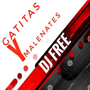 Gatitas y Maleantes