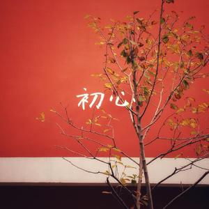 随風Kaze/白色之上-夏夜（千里逐梦 Remix）